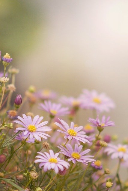 The Benefits Of Doing Your Own Yard Work And Landscaping