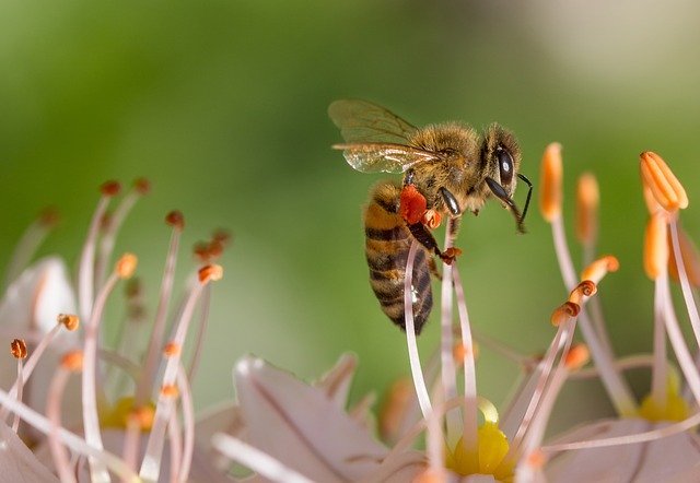 Use These Tips To Help Landscape Your Garden.