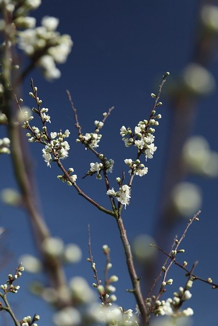 Where To Find The Best Plants For Your Landscaping